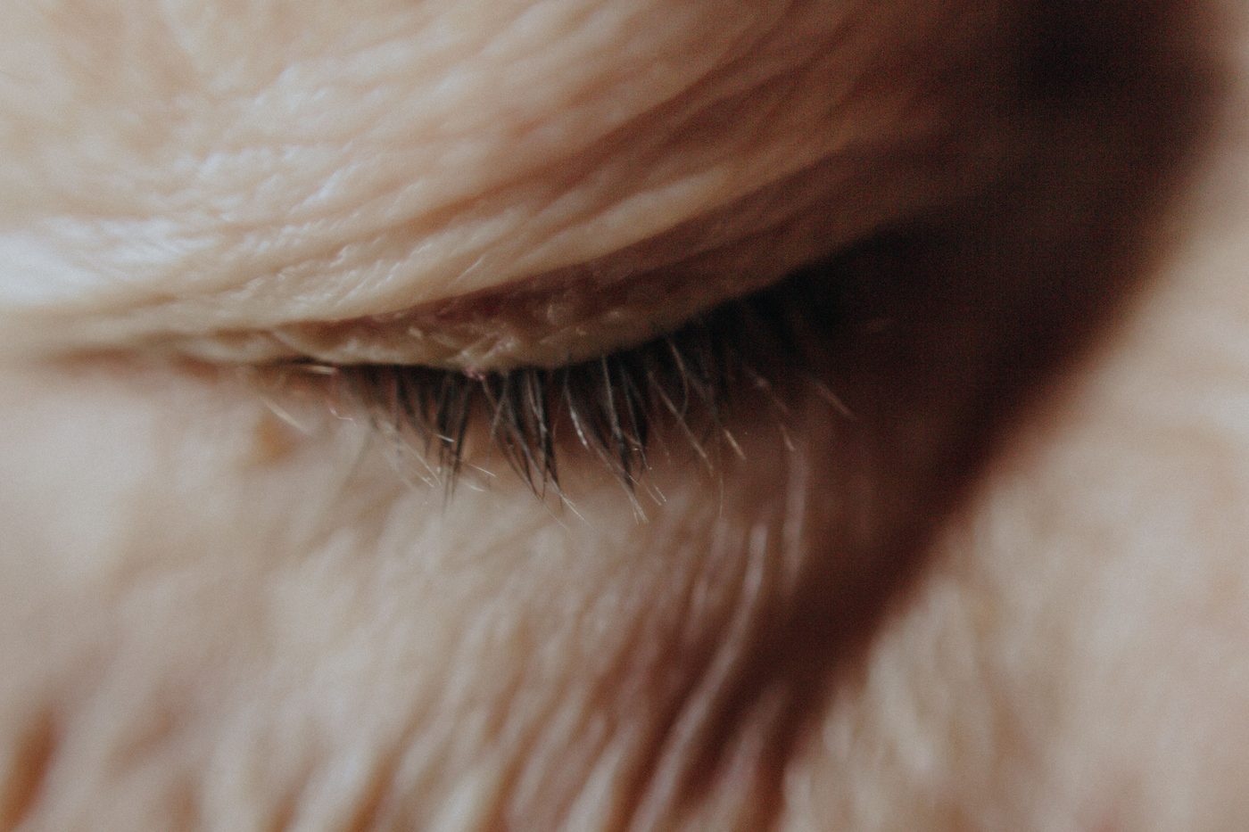 Geschlossenes Auge mit Wimpern – die Lidfalte im Detail