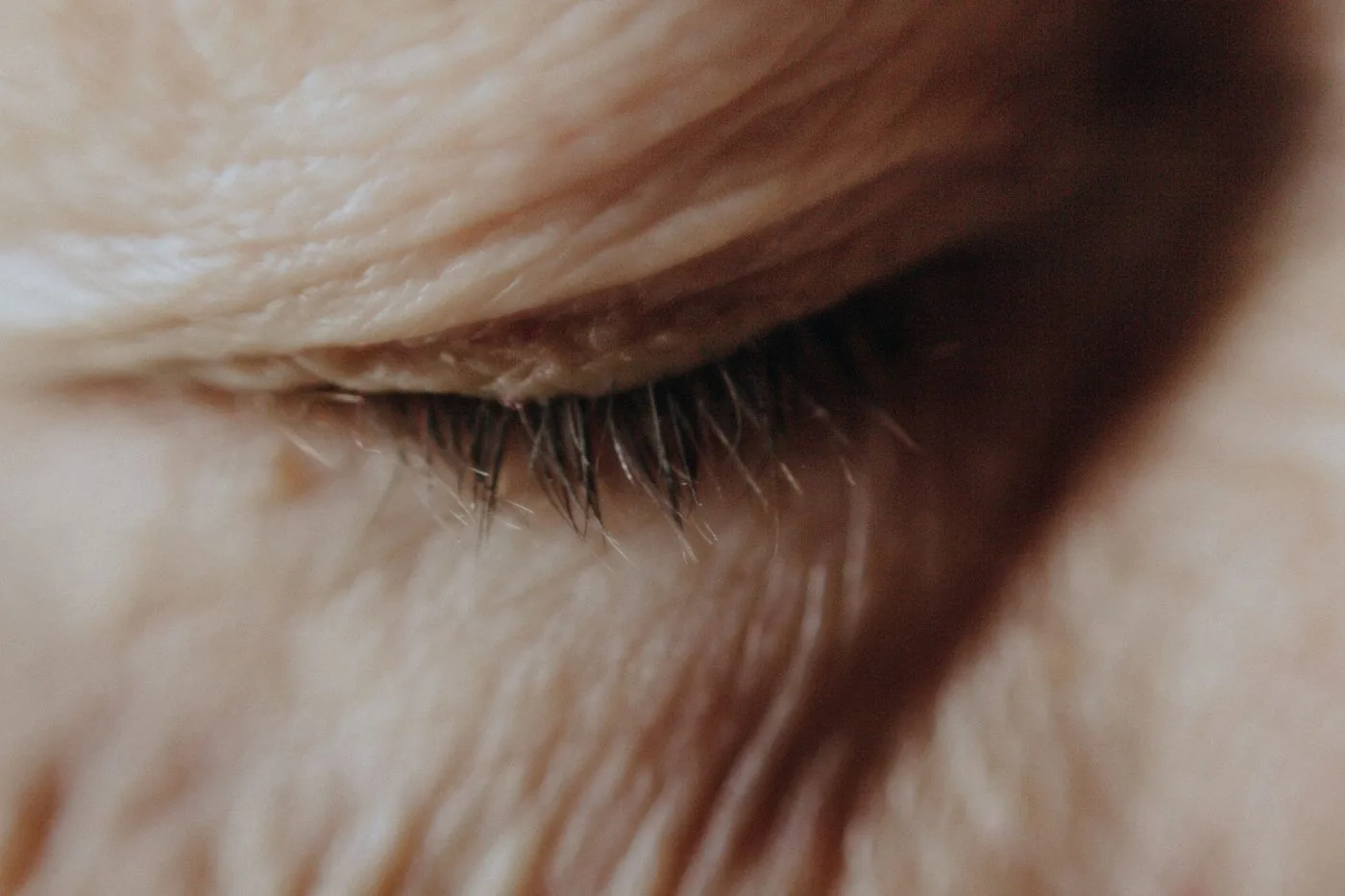 Geschlossenes Auge mit Wimpern – die Lidfalte im Detail